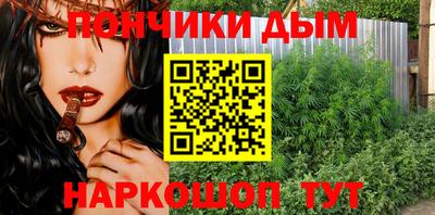 индика Ирбит