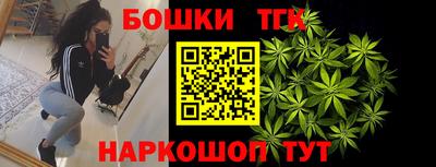 индика Ирбит